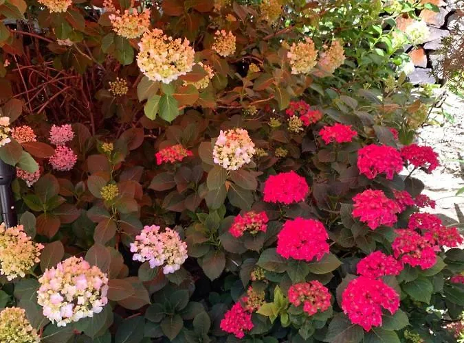 Ferienhaus, Rustico Auf Burg شقة