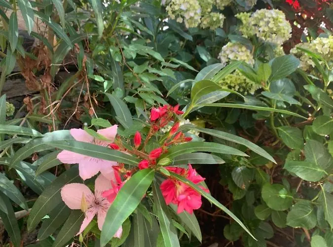 Appartement Ferienhaus, Rustico Auf Burg Locarno