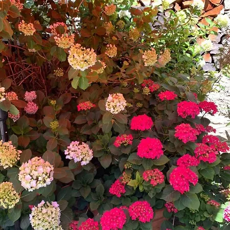 Ferienhaus, Rustico Auf Burg Apartman