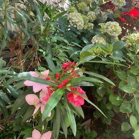 Apartman Ferienhaus, Rustico Auf Burg Locarno